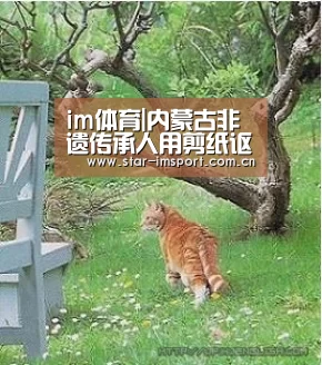 im体育|内蒙古非遗传承人用剪纸讴歌抗“疫”英雄(图4) im体育投注