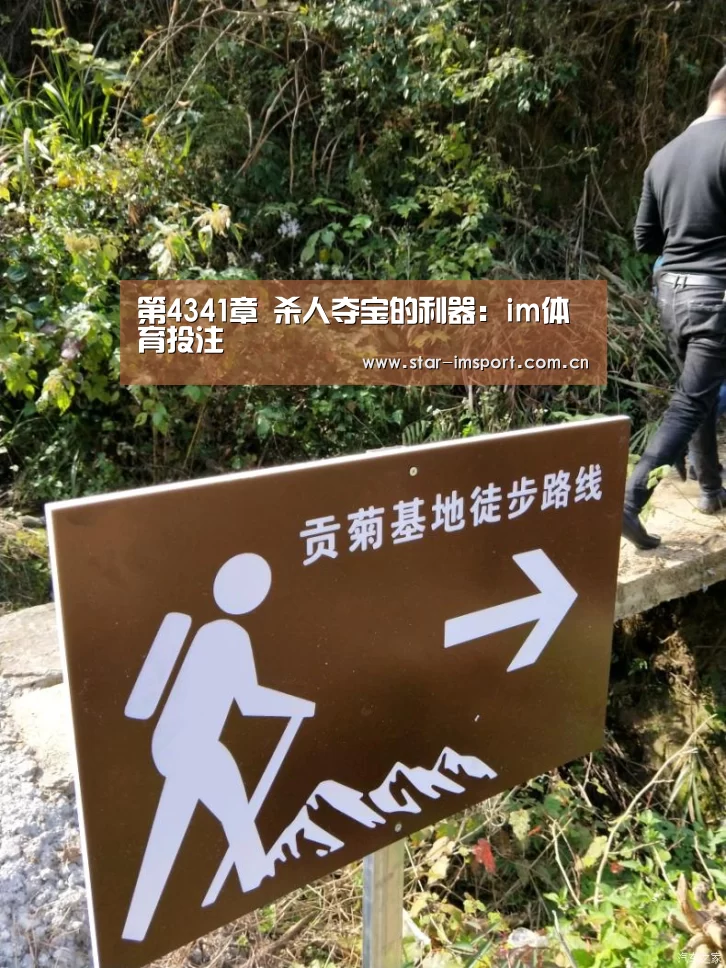 im体育官网