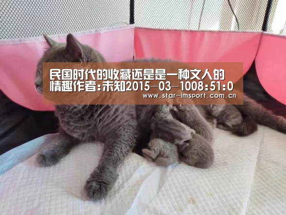 民国时代的收藏还是是一种文人的情趣作者:未知2015-03-1008:51:04来源:南方都市报 清末民初收藏并不看重‘im体育官网’(图4) im体育投注