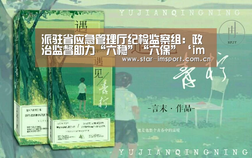 派驻省应急管理厅纪检监察组:政治监督助力“六稳”“六保”‘im体育官网’(图3) im体育