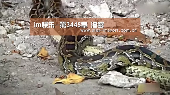im娱乐-第3445章 渣爹(图4) im体育官网