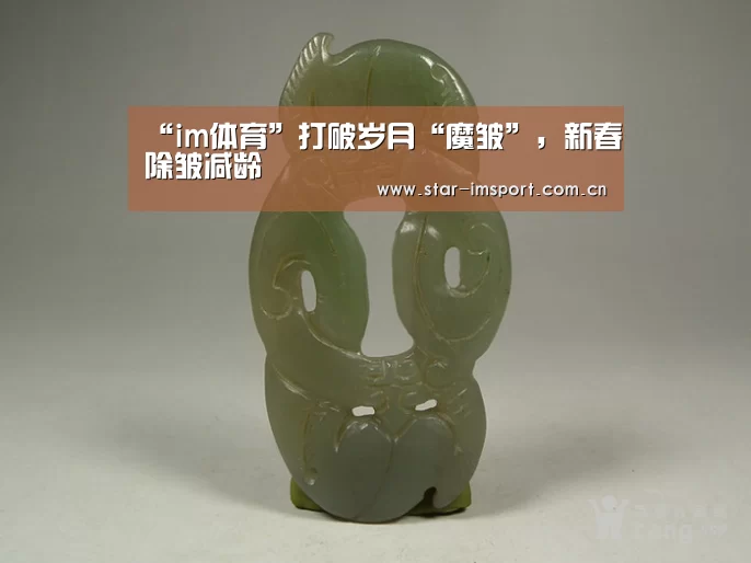 im体育官网