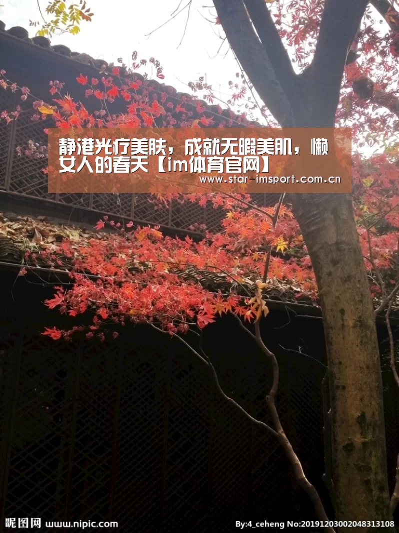 im体育官网