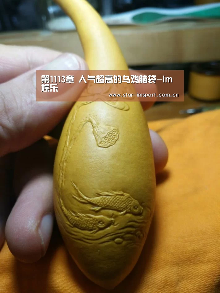 第1113章 人气超高的乌鸡脑袋-im娱乐(图1) im体育官网