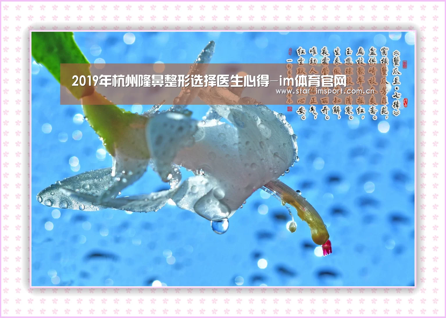 im体育投注